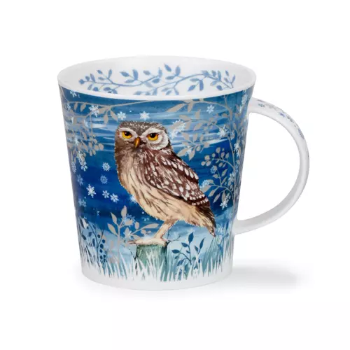 Cairngorm Full moon - Little owl