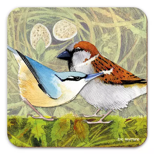 Emma Ball - Coaster - glassbrikke - British birds 2