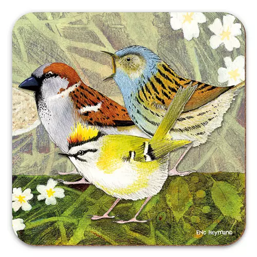 Emma Ball - Coaster - glassbrikke - British birds 4