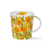 Lomond Prima vera - Narcissus