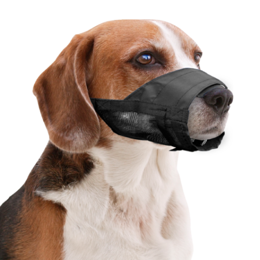 Pawise Muzzle Adjustable XL