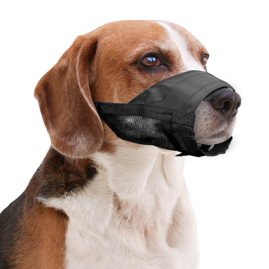 Pawise Muzzle Adjustable XL