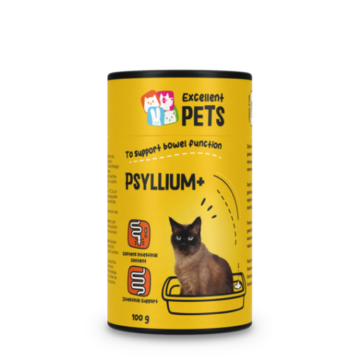 Psyllium Plus Katt