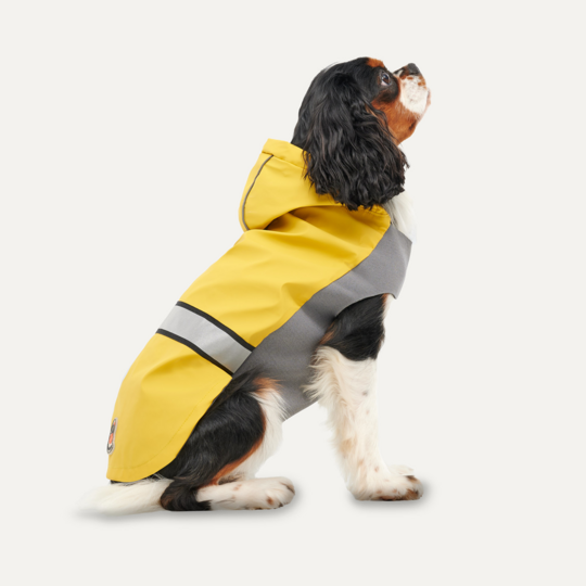 Goo-eez Reflective Hooded Raincoat XS