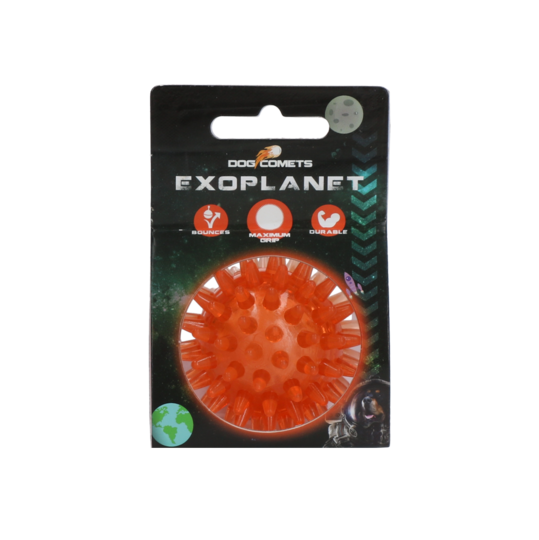 Dog Comets Exoplanet Orange S