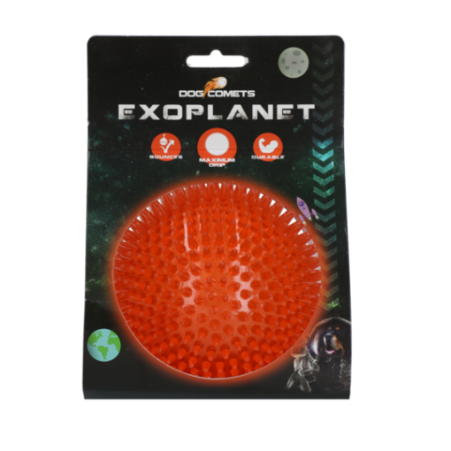 Dog Comets Exoplanet Orange L