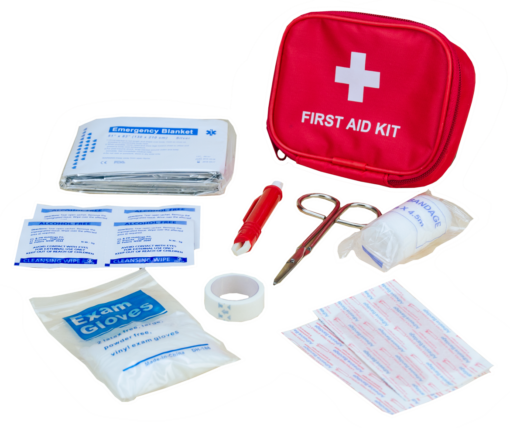 Pawise First Aid Kit