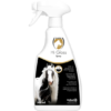 Hi Gloss Spray 500ml