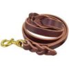 Top Leather Braided oiled leather leash  200cm