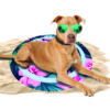 CoolPets Tropical Premium Cooling Mat Flower