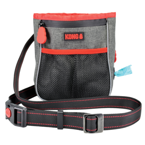 KONG Hiking Bag