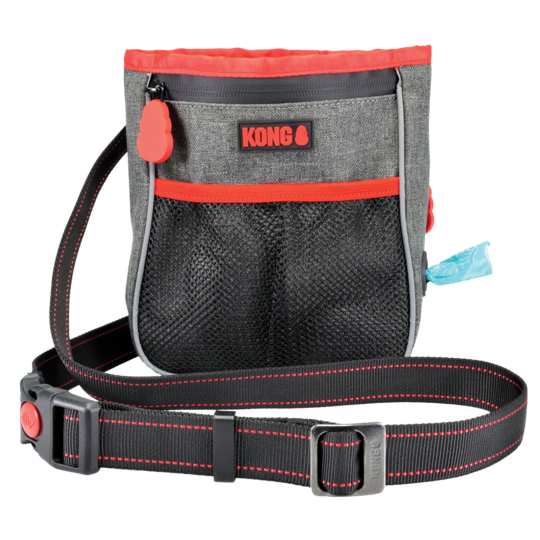 KONG Hiking Bag