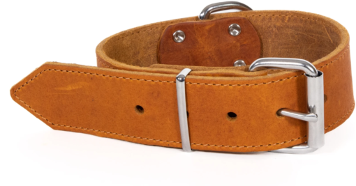 Top Leather halsbånd, oljet, naglet og sydd, Cognac 40mm*65cm