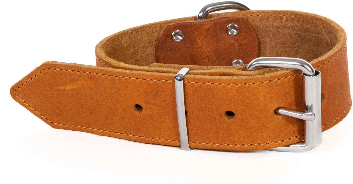 Top Leather halsbånd, oljet, naglet og sydd, Cognac 30mm*65cm