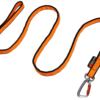 Bungee Leash 2m