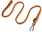 Bungee Leash 2m