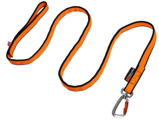 Bungee Leash 2m