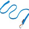 Bungee Leash Blue 2,8m