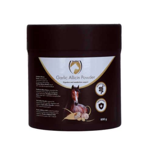 Excellent Horse Garlic Allicin Powder EU (Garlic powder)