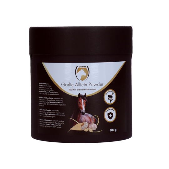 Excellent Horse Garlic Allicin Powder EU (Garlic powder)