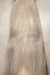 gallery-5036-for-109623