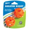 Chuckit Breathe Right  S 2-pack