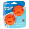 Chuckit Breathe Right Fetch Ball M/2pk