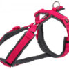 Hundesele Trekking S 36-44cmx15mm Fuchsia/Grafitt grå