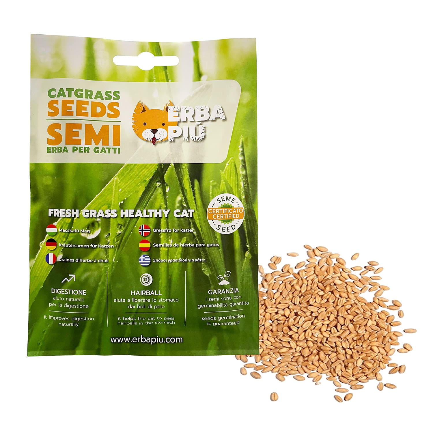 Erba Piu Cat Grass seeds