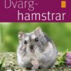 Bok Dverg hamster