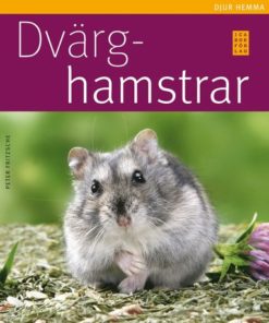 Bok Dverg hamster