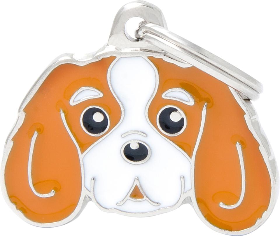MyFamily Friends, Cavalier King Charles Spaniel