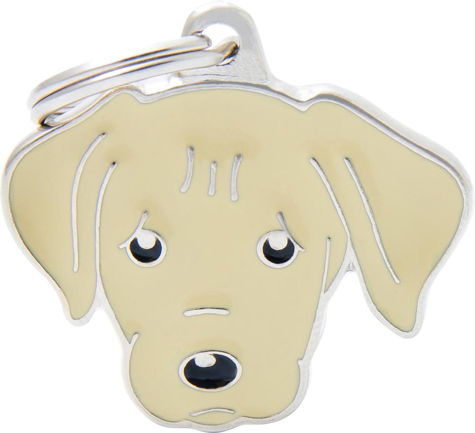 MyFamily Friends, Labrador Retriever gul