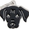 MyFamily Friends, Labrador Retriever sort