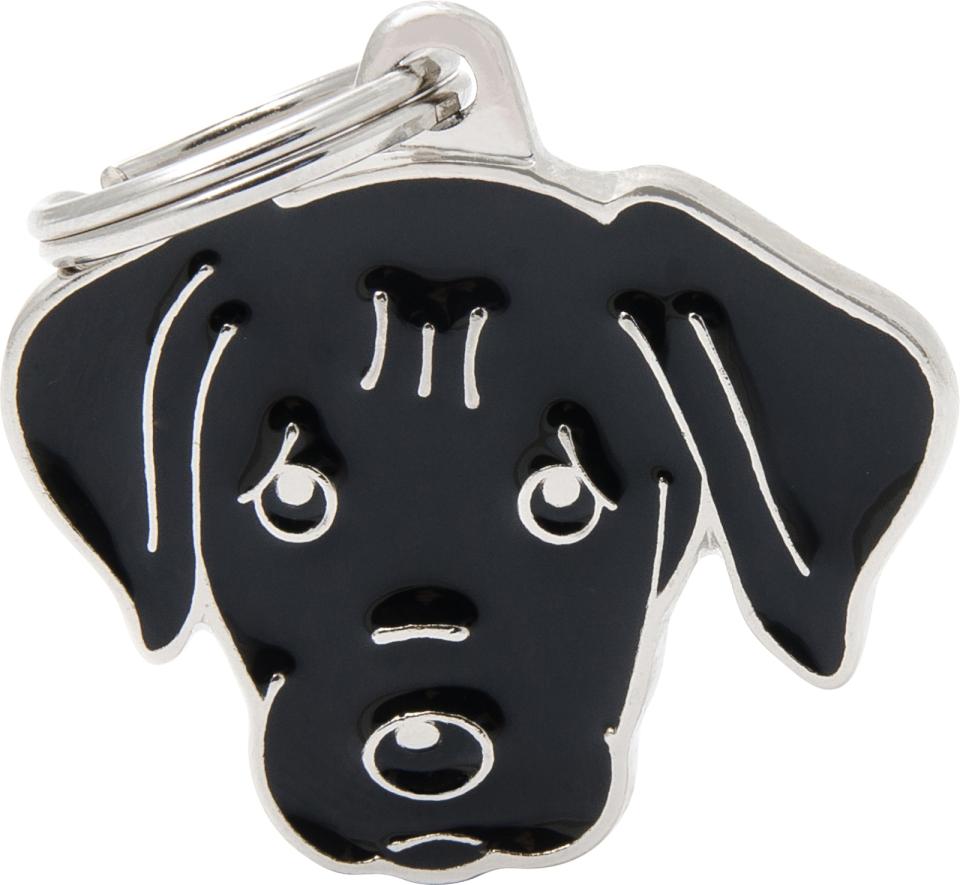 MyFamily Friends, Labrador Retriever sort