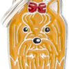 MyFamily Friends, Yorkshire terrier