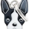 MyFamily Friends, Boston Terrier