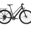 TREK DUAL SPORT 2 EQ STR XL LITHIUM GREY