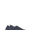 Tulip Navy
