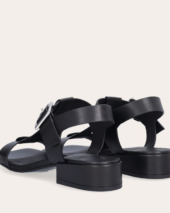 gallery-735-for-A8631