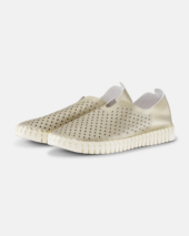 Tulip Flats - Platin