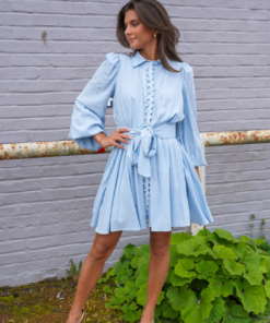 Abril Dress Light Blue