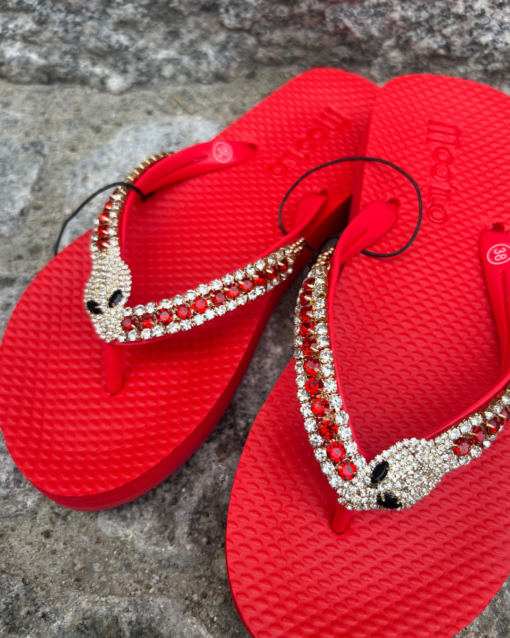 gallery-1058-for-MO5461
