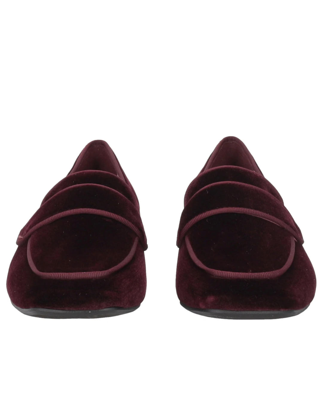 gallery-2019-for-sf2513s