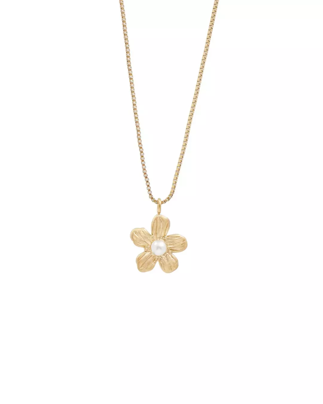 gallery-790-for-100088