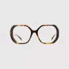 Celeste Turtle Brown Readers