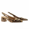 Jennifer Slingback - Snake