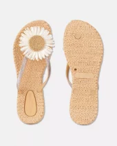 gallery-4553-for-CHEERFUL16F-1