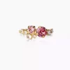 Stardust Ring - Rose Combo