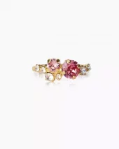 Stardust Ring - Rose Combo